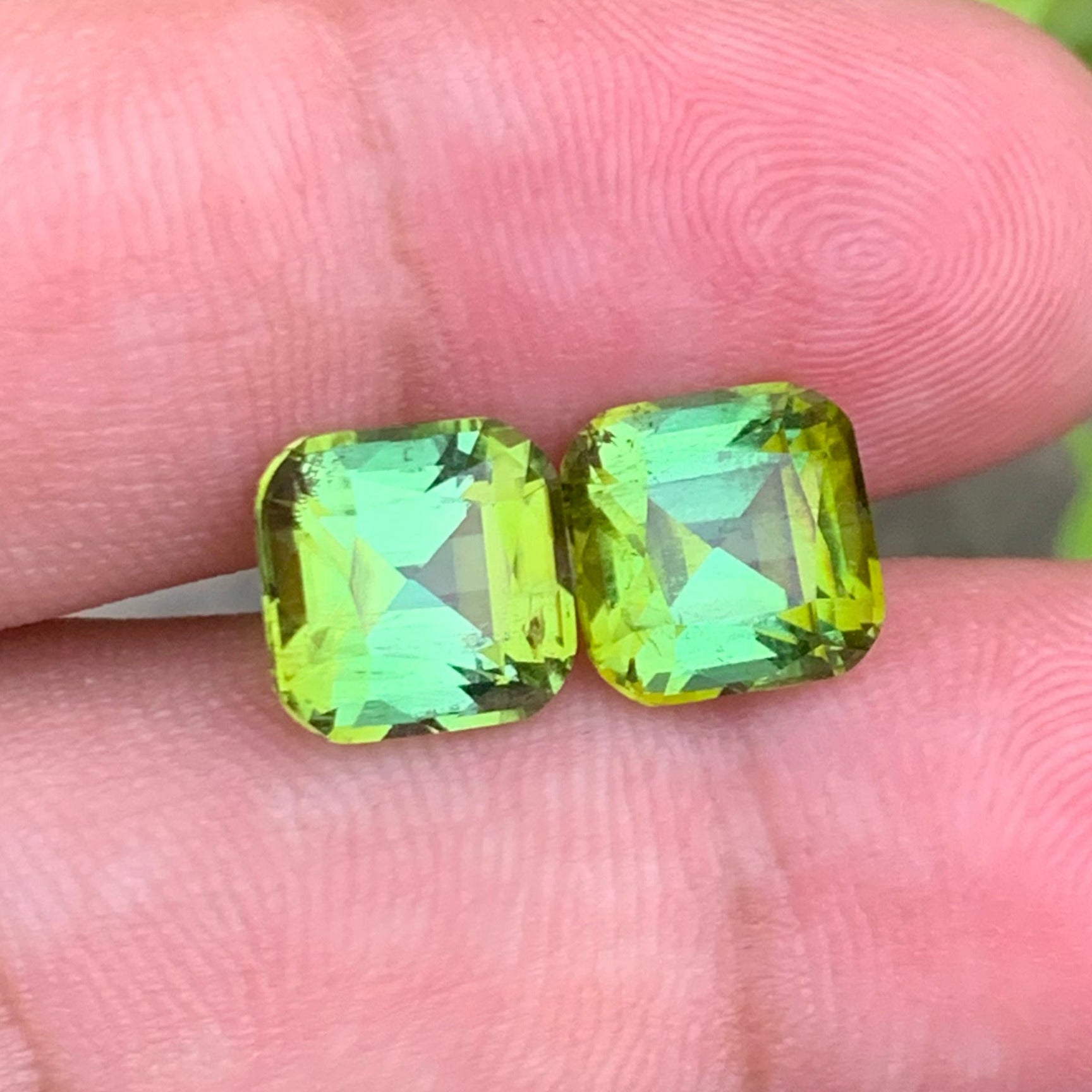 Forest Green Tourmaline earrings