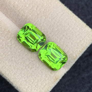 Green Peridot gemstone
Green Peridot Pair
Green Peridot earrings