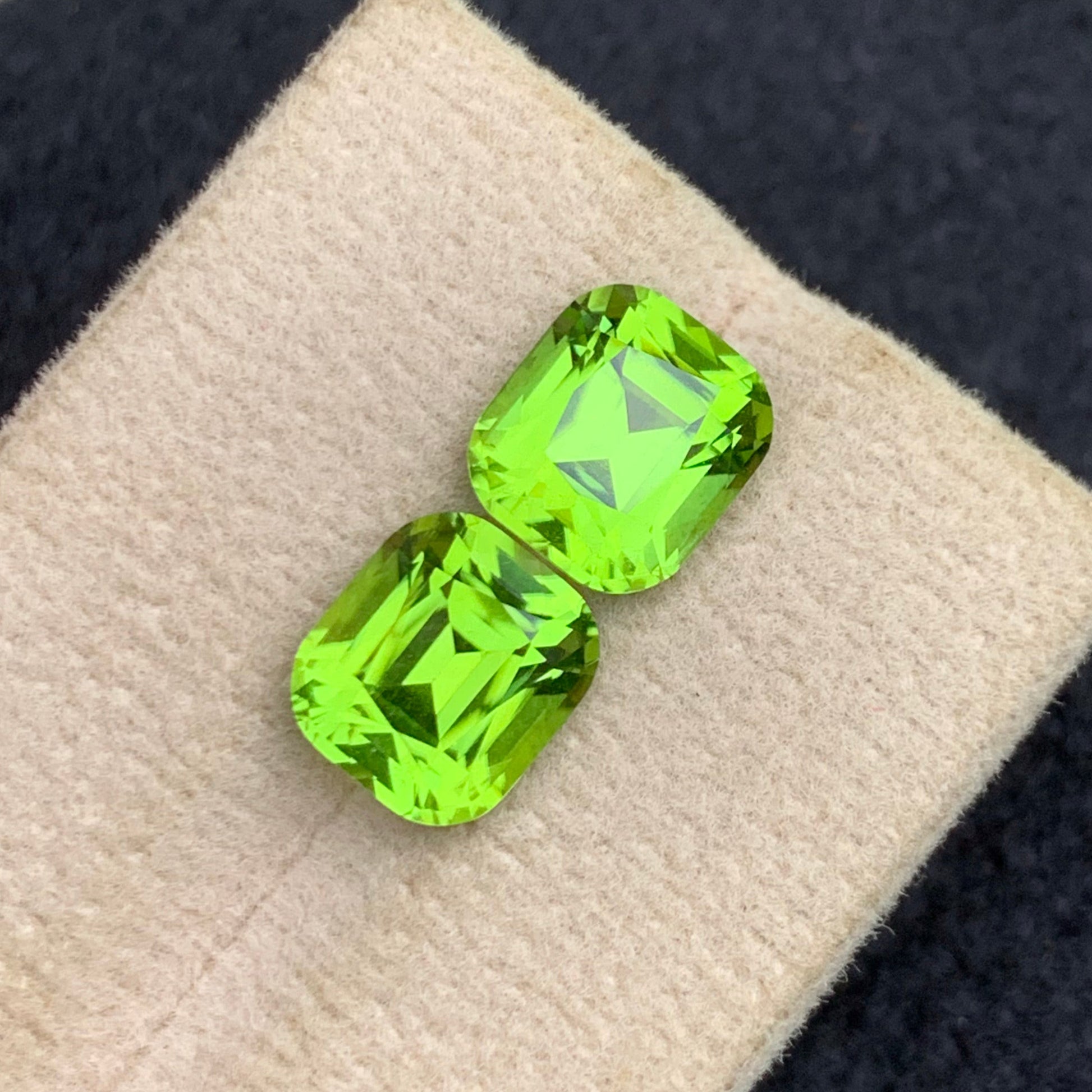 Peridot Gemstone
Peridot Gemstone pair
Peridot Gemstone earrings