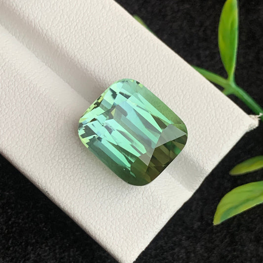 Bicolor Tourmaline gemstone
Bicolor Tourmaline jewelry
Bicolor Tourmaline gift