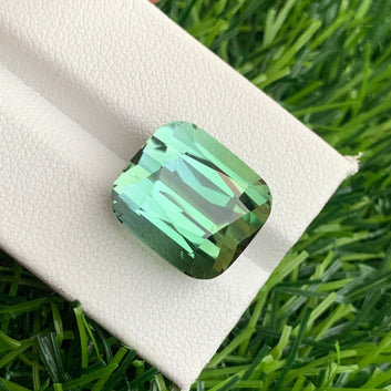 Bicolor Tourmaline ring
Bicolor Tourmaline pendant
 Bicolor Tourmaline stone