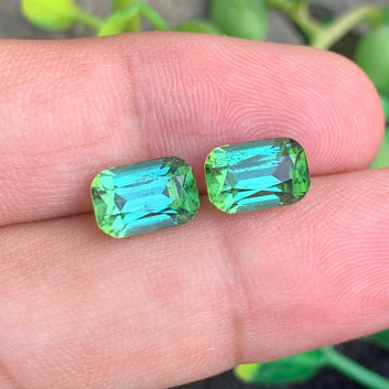 Bluish Green Tourmaline pair
Bluish Green Tourmaline earrings