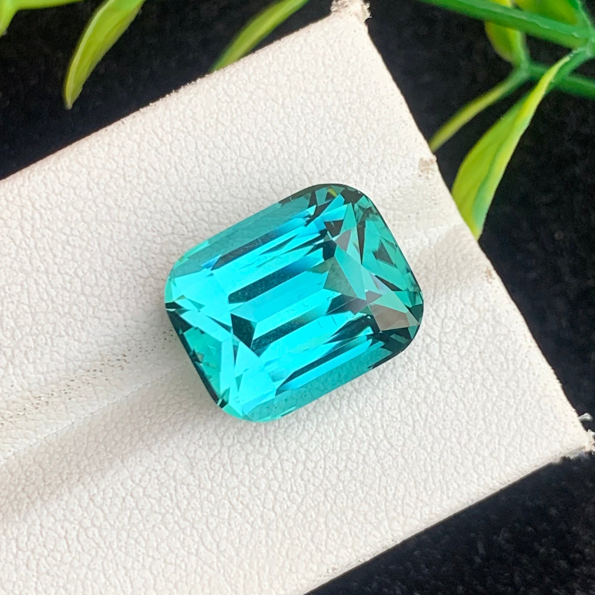 Lagoon Tourmaline Gemstone
Lagoon Tourmaline jewelery