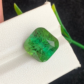 Bluish Green Tourmaline gemstone
Bluish Green Tourmaline jewelry