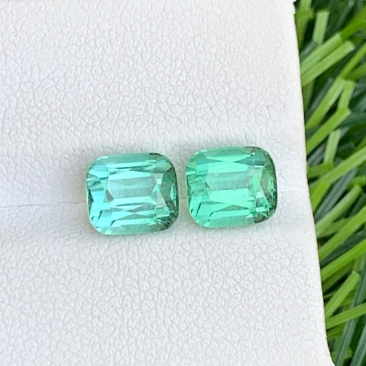 Gorgeous 3.80 Carats Mint Green Tourmaline Pair Cushion-Cut Earrings