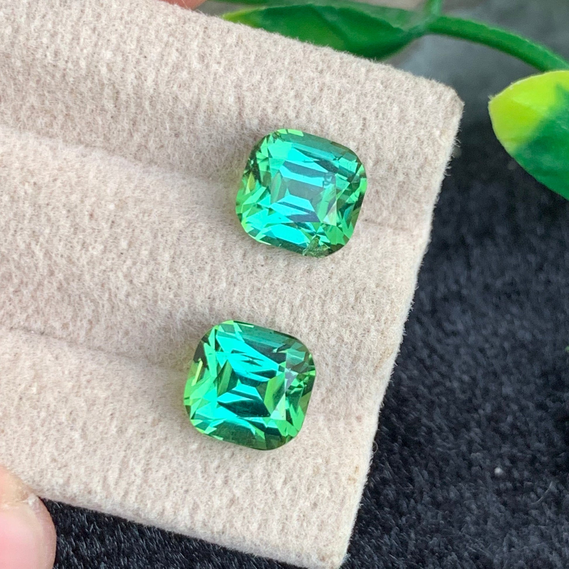 Bluish Green Tourmaline rings
Bluish Green Tourmaline pair