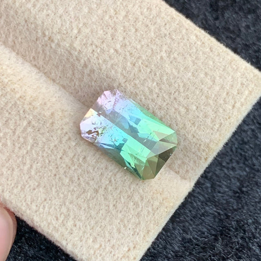 Bicolor Tourmaline Gemstone
 Bicolor Tourmaline Jewelry