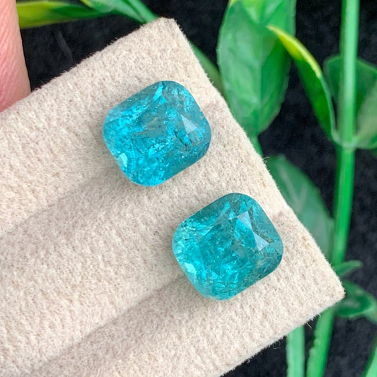  Lagoon Tourmaline Gemstone
  Lagoon Tourmaline Jewelry