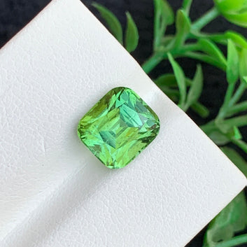 Loose Forest Green tourmaline