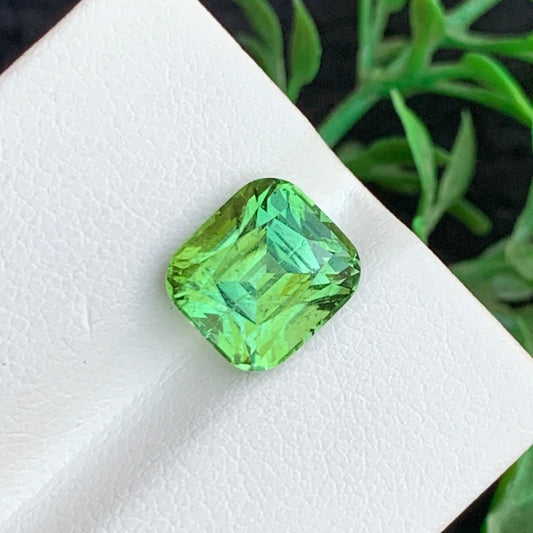 Forest Green Gemstone
