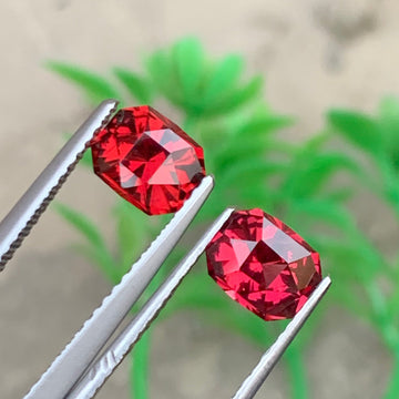 Rhodolite Garnet
Rhodolite Garnet pair
Rhodolite Garnet earrings