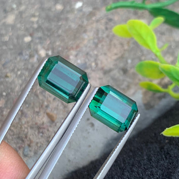 Bluish Green Tourmaline rings
Bluish Green Tourmaline pair
Bluish Green Tourmaline earrings