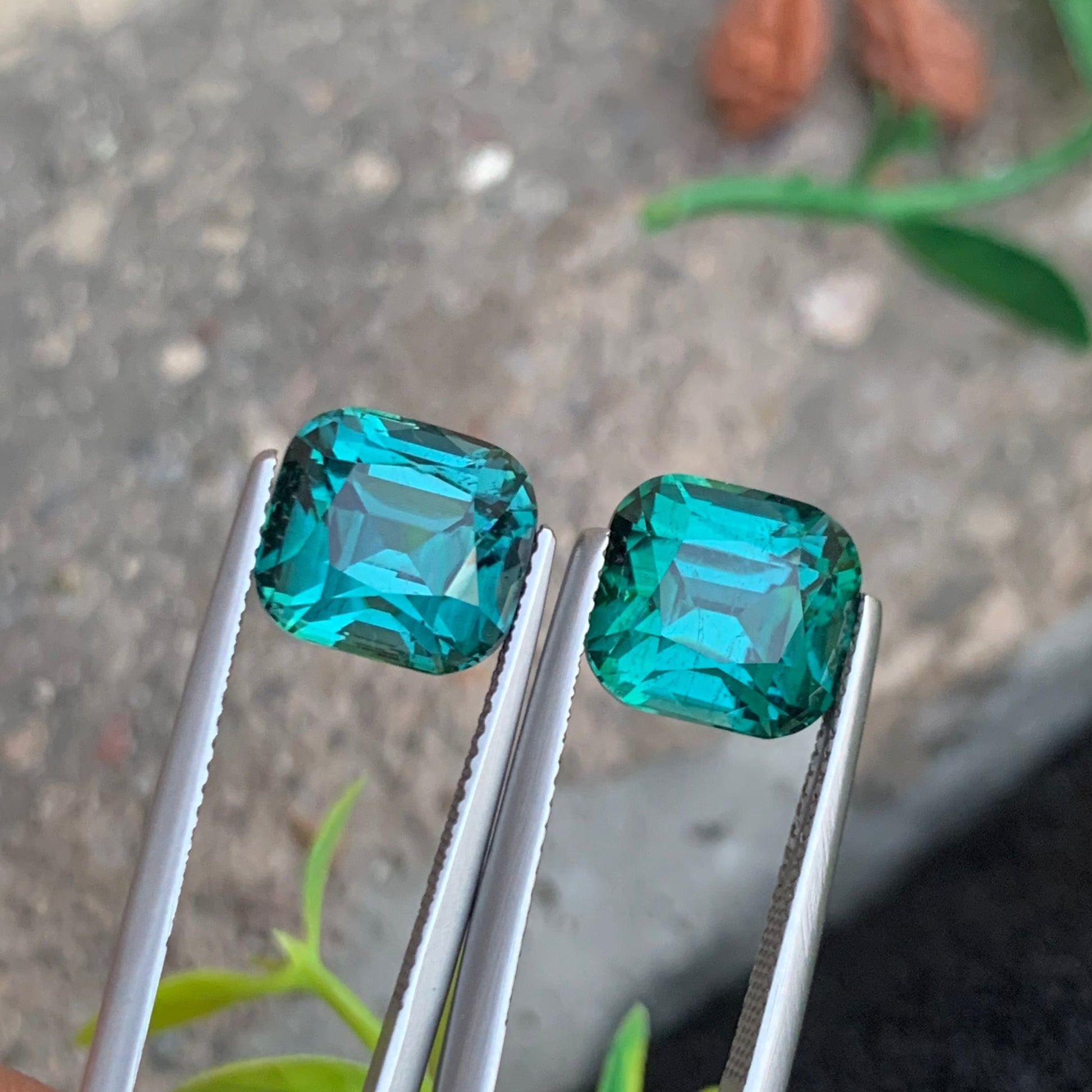 Vivid Bluish Green Tourmaline pair
Vivid Bluish Green Tourmaline earrings