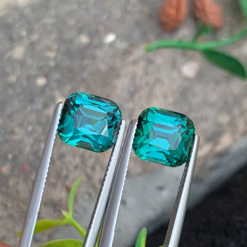 Vivid Bluish Green Tourmaline pair
Vivid Bluish Green Tourmaline earrings