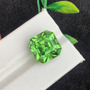 Rutile Green Peridot Gemstone
Rutile Green Peridot jewelry