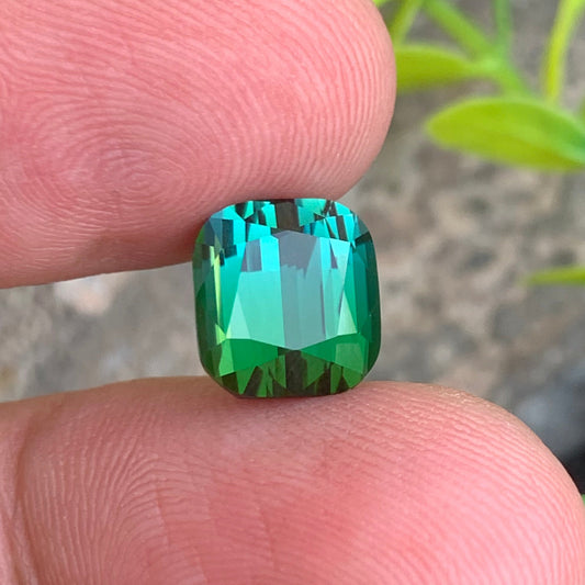  Bicolor Tourmaline Gemstone
 Bicolor Tourmaline Jewelry