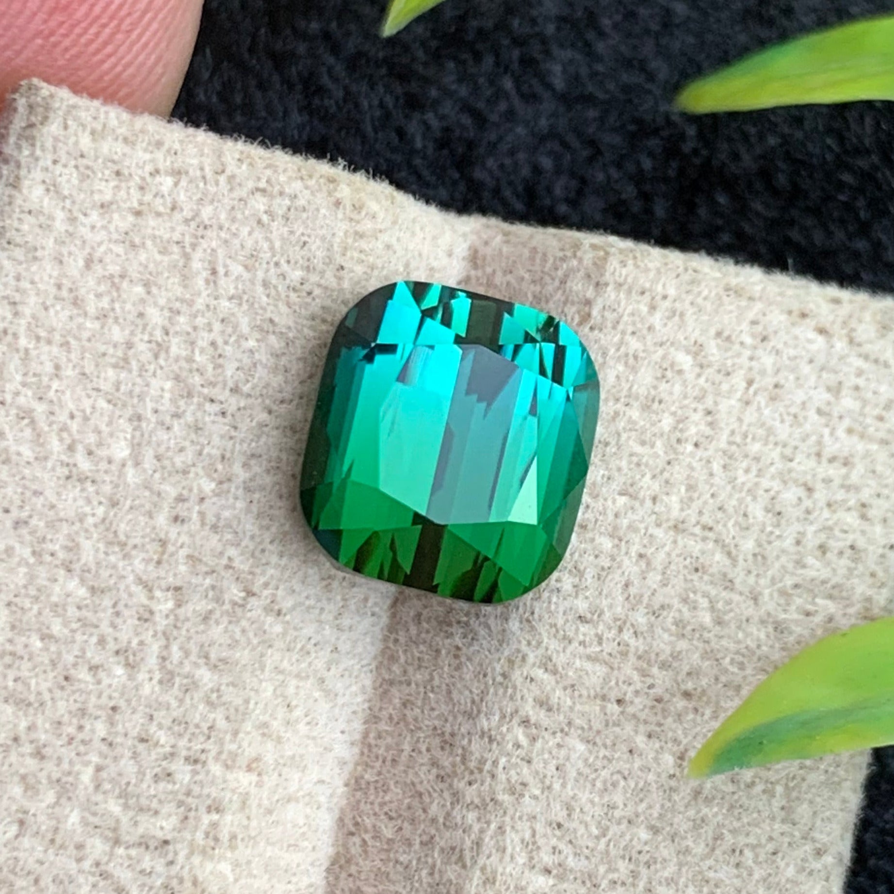  Bicolor Tourmaline Rings
 Bicolor Tourmaline pendant