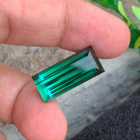 Bicolor Tourmaline gemstone
Bicolor Tourmaline jewelry