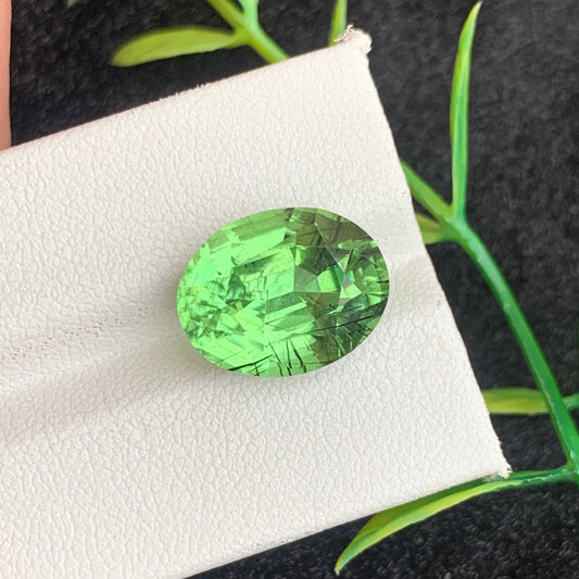 Rutile Green Peridot gemstone
Rutile Green Peridot jewelry