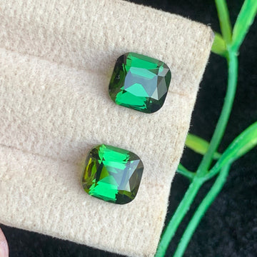  Yellow Green Tourmaline pair
 Yellow Green Tourmaline  earrings