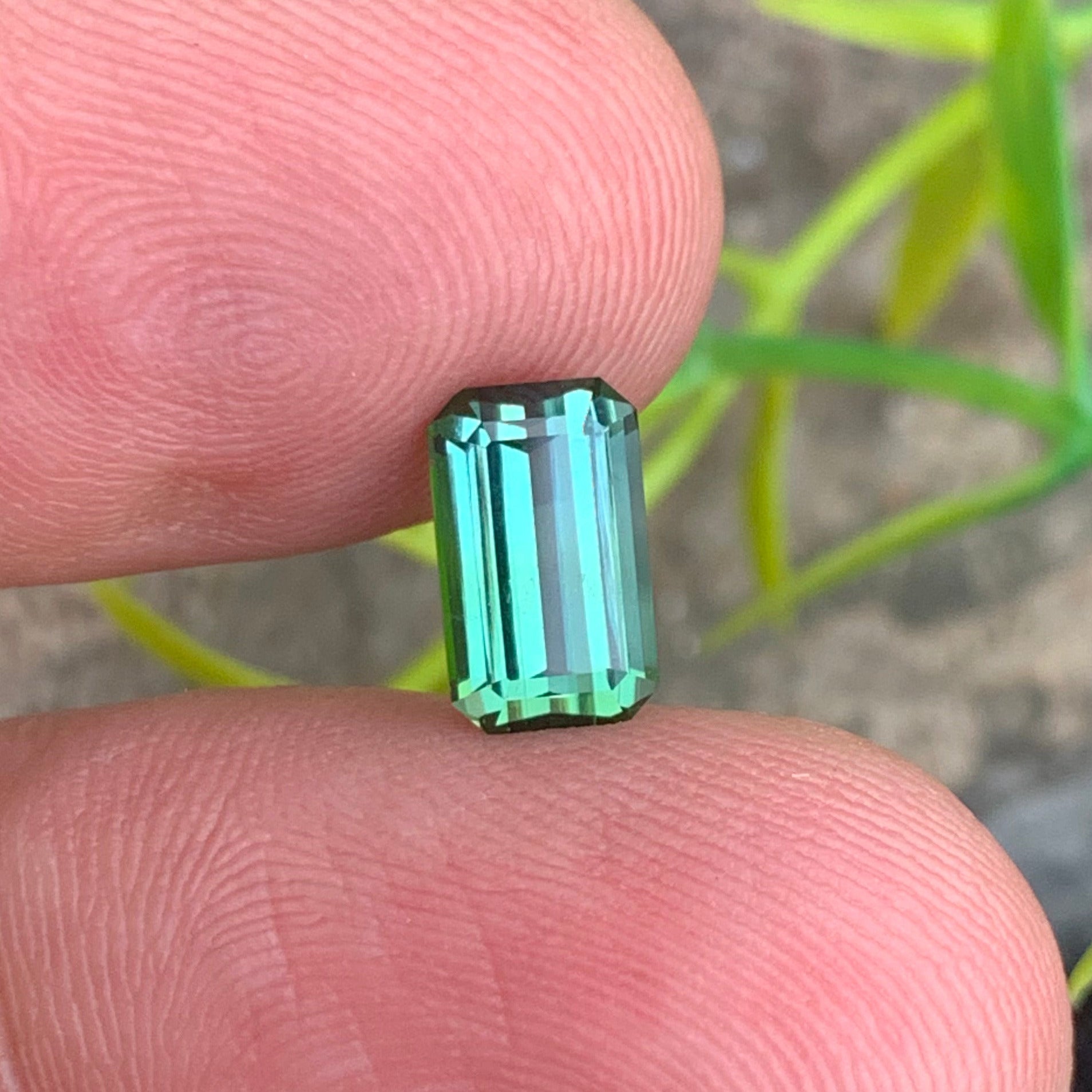 Bluish Green Tourmaline Gemstone
Bluish Green Tourmaline  Jewelry