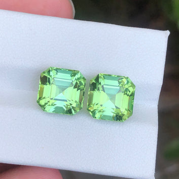 Apple Green Tourmaline Pair
Apple Green Tourmaline earrings