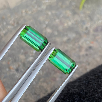 Vivid Green Tourmaline Pair
Vivid Green Tourmaline Earrings