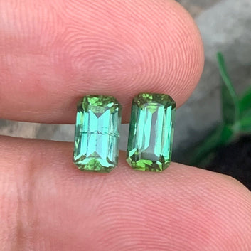  Bluish Green Tourmaline earrings
 Bluish Green Tourmaline  pair