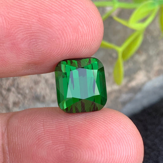 Dark Green Tourmaline Gemstone
Dark Green Tourmaline Jewelry