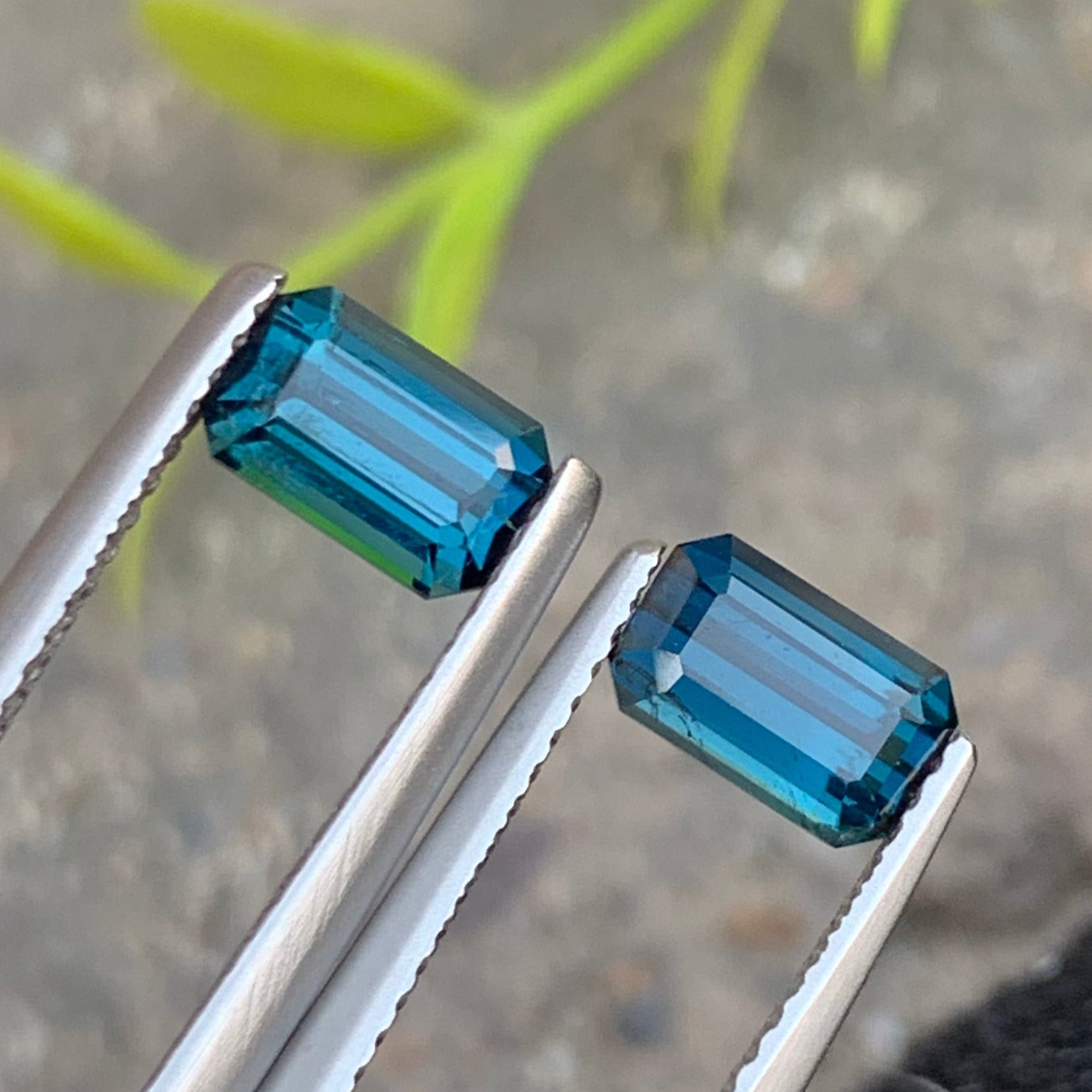 Ink Blue Tourmaline pair
Ink Blue Tourmaline Earrings