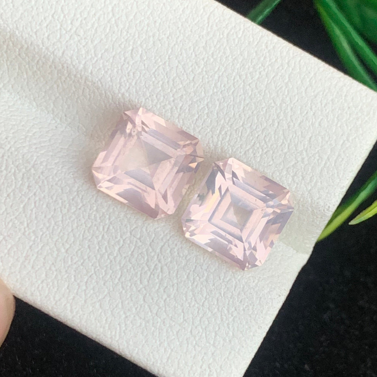Rose Quartz stone
Rose Quartz pair
Rose Quartz rings