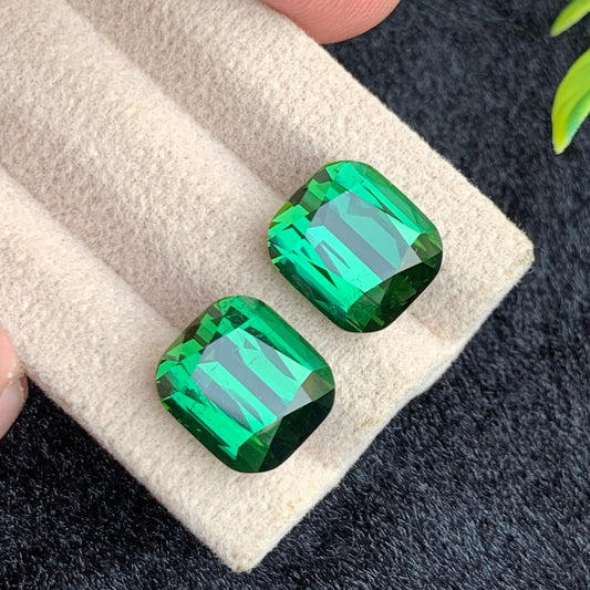 Vivid Green Tourmaline Earrings
Vivid Green Tourmaline Pair
