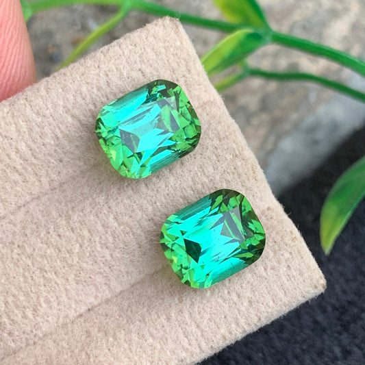 Bluish Green Tourmaline earrings
Bluish Green Tourmaline gift