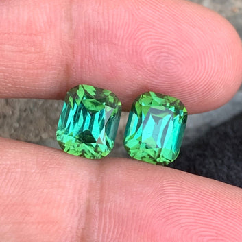 Bluish Green Tourmaline rings
Bluish Green Tourmaline pair
