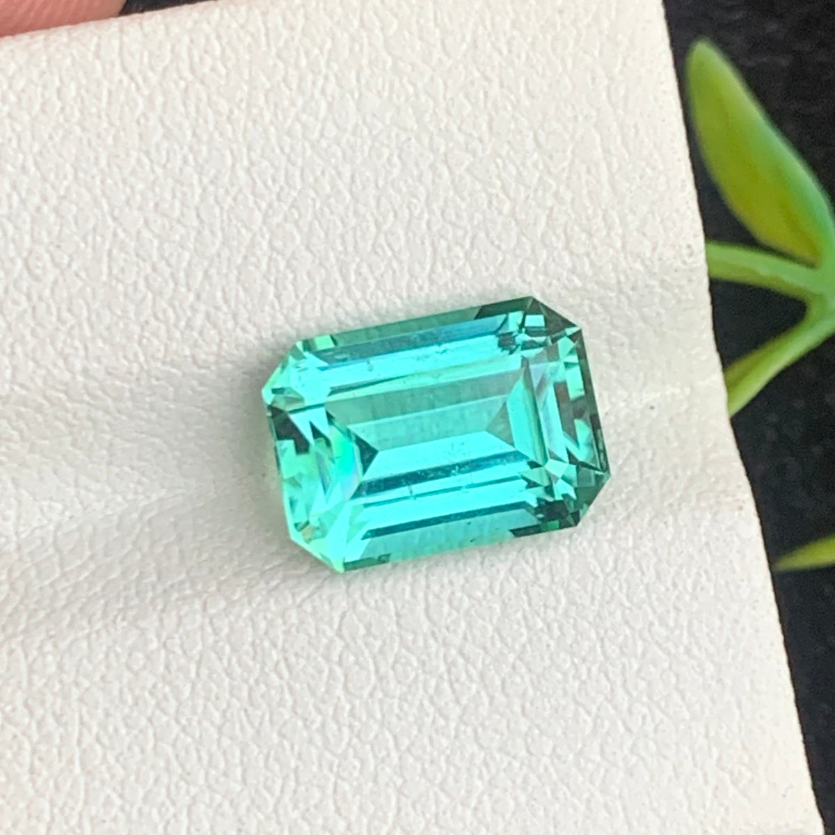 Greenish Seafoam Tourmaline 
Greenish Seafoam Tourmaline ring