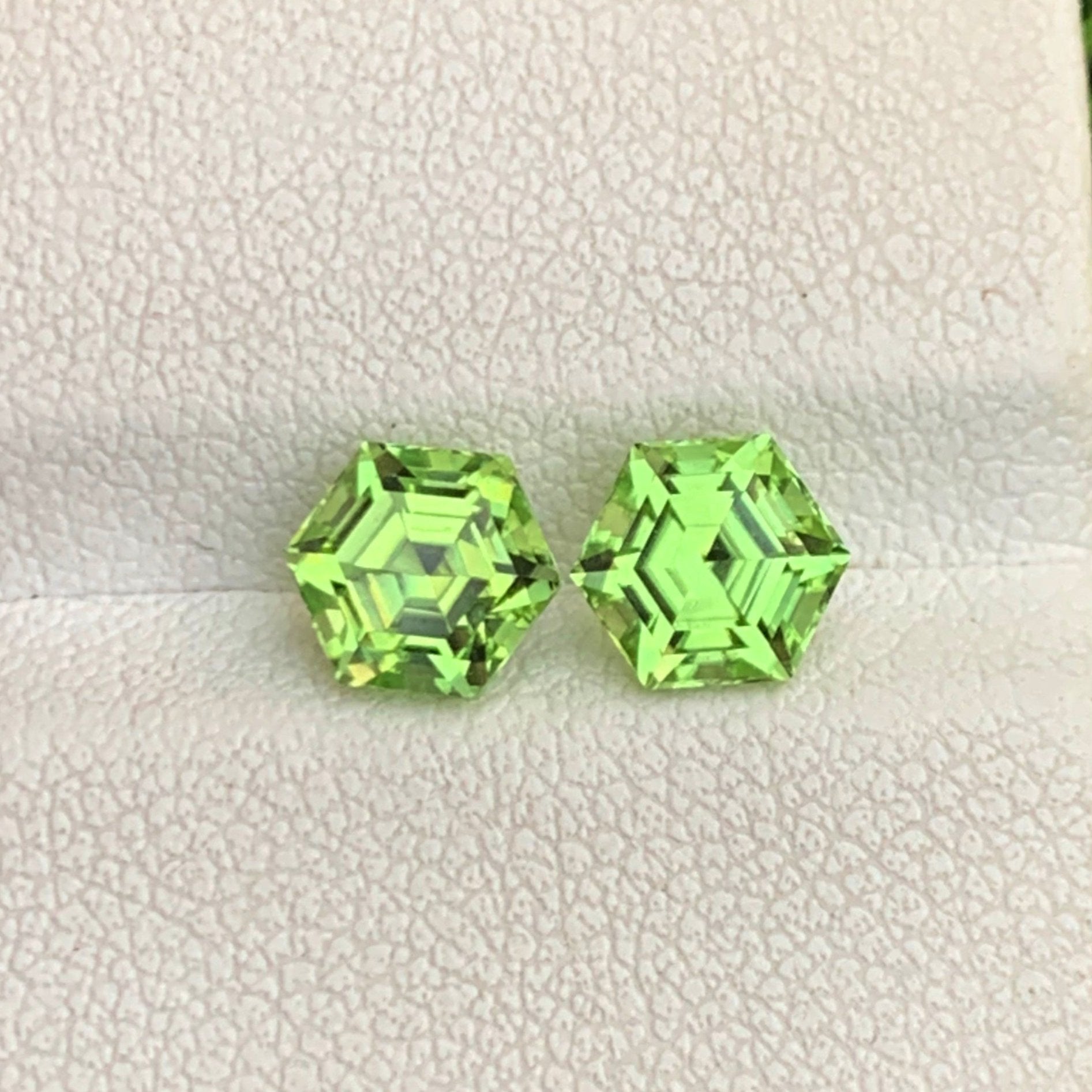 Rear Stone Earring Pair