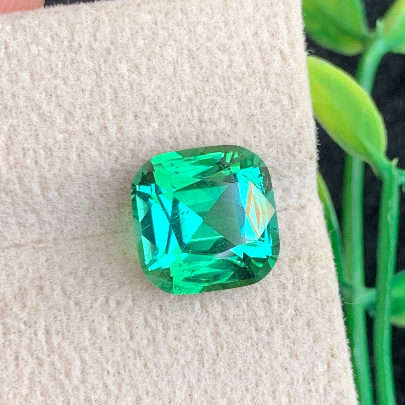 Bluish Green Tourmaline Gemstone
Bluish Green Tourmaline  Jewelry