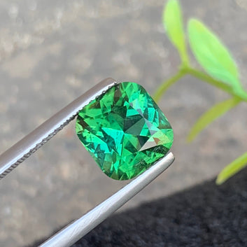 Bluish Green Tourmaline Gemstone
Bluish Green Tourmaline Jewelry