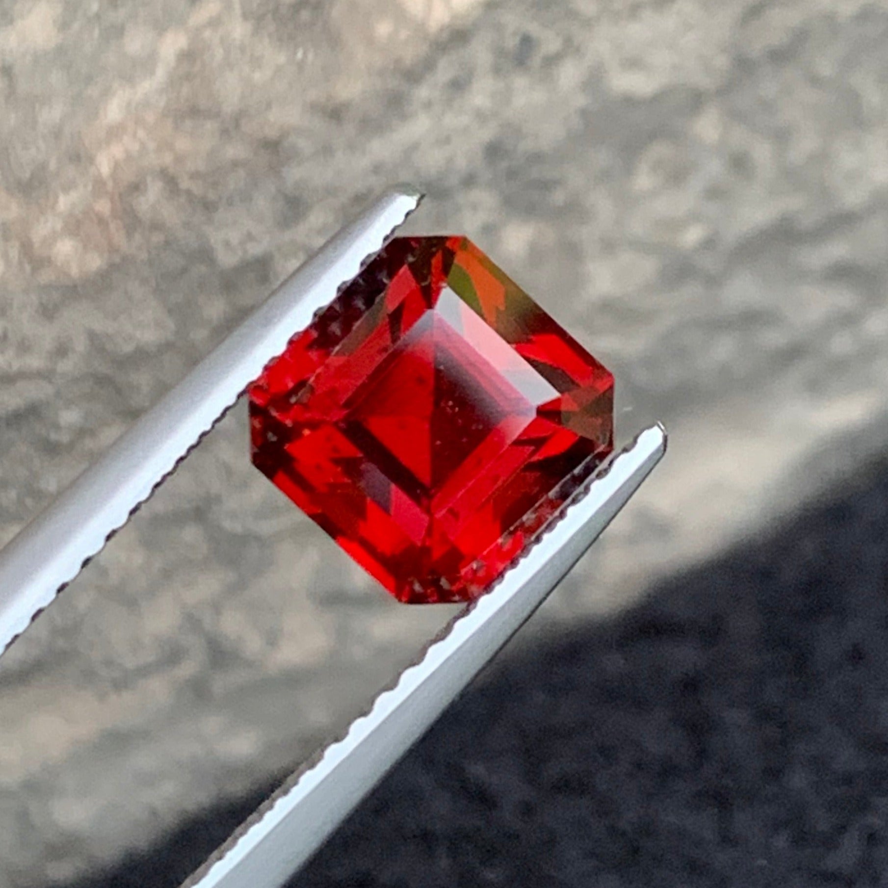 Loose Garnet