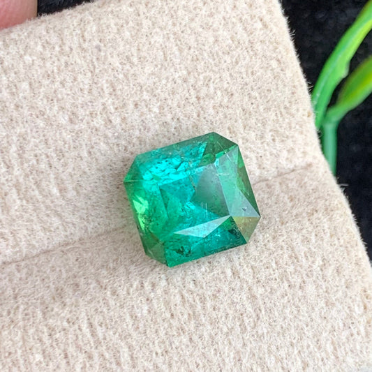 Bluish Green Tourmaline Gemstone
Bluish Green Tourmaline Jewelry