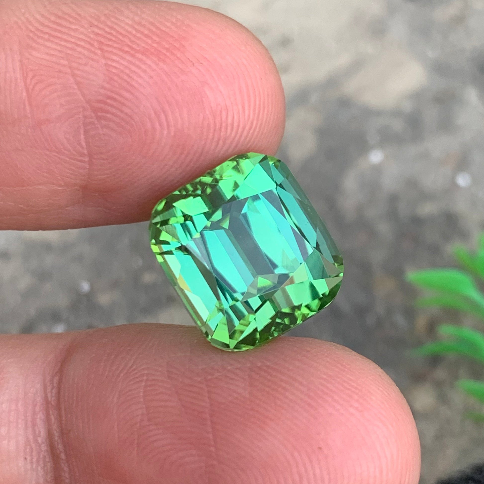 Apple Green Tourmaline ring
Apple Green Tourmaline pendant