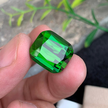 Vivid Green Tourmaline gemstone
Vivid Green Tourmaline jewelry
Vivid Green Tourmaline gift