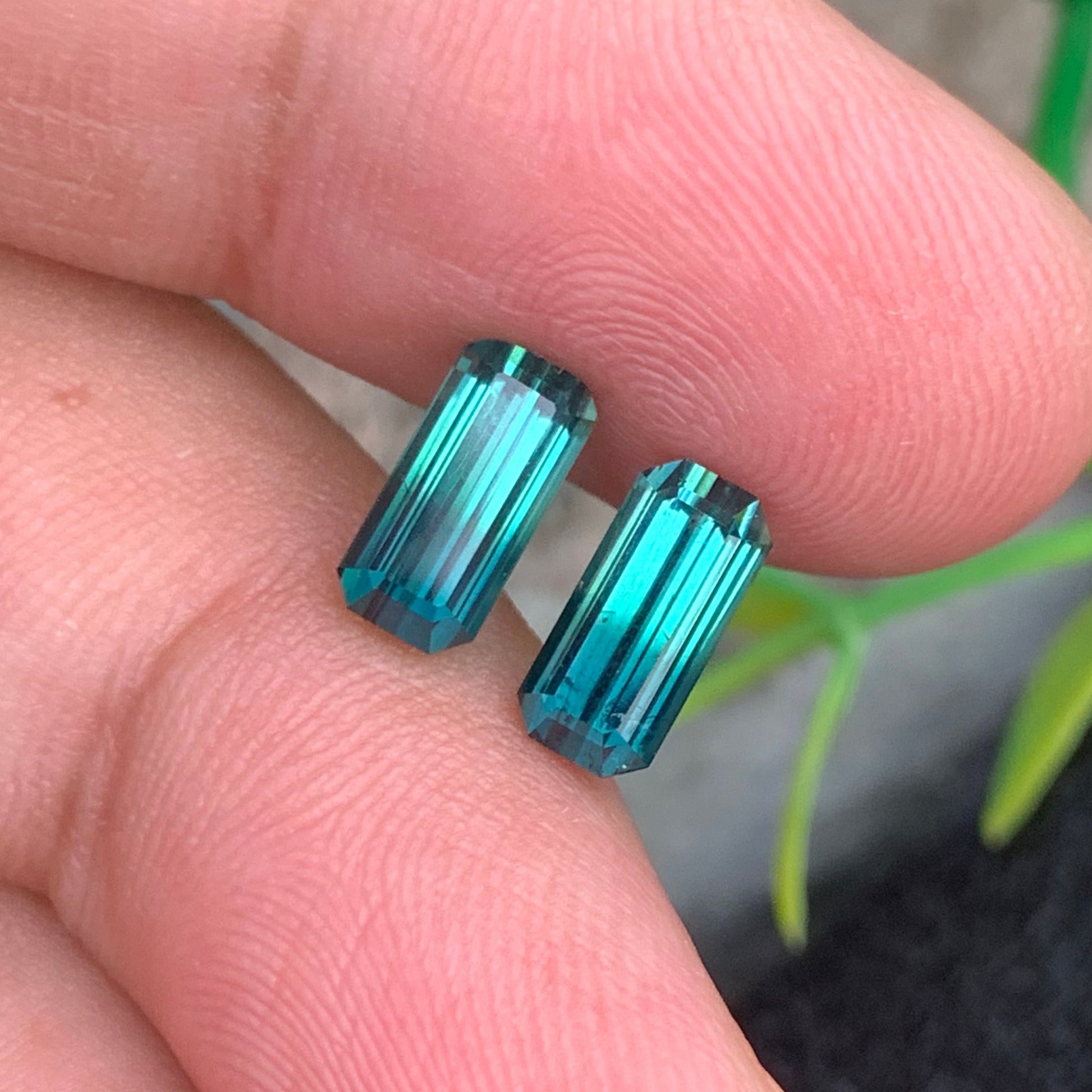 Bicolor Tourmaline earrings
Bicolor Tourmaline pair
Bicolor Tourmaline rings