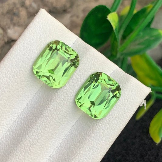 Green Peridot gemstone
Green Peridot jewelry