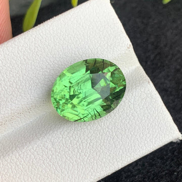 10.92 Carats Fine Rutile Green Peridot Gemstone with Oval Shape, Pakistan Origin