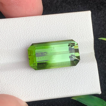 Bluish Green Tourmaline gemstone
Bluish Green Tourmaline jewelry