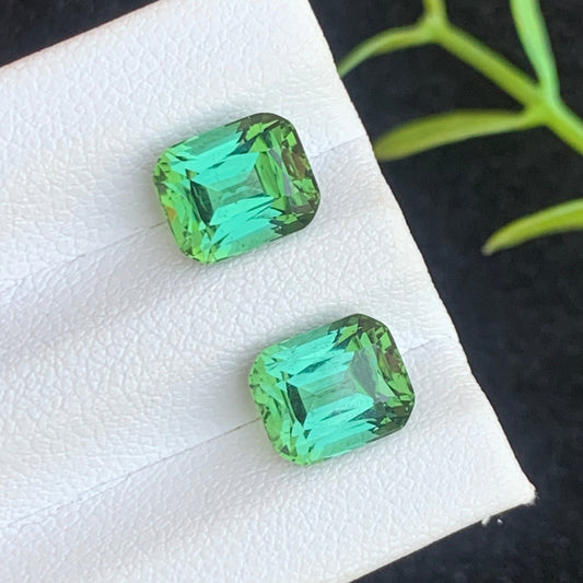 Bluish Green Tourmaline stone
Bluish Green Tourmaline pair
Bluish Green Tourmaline earrings