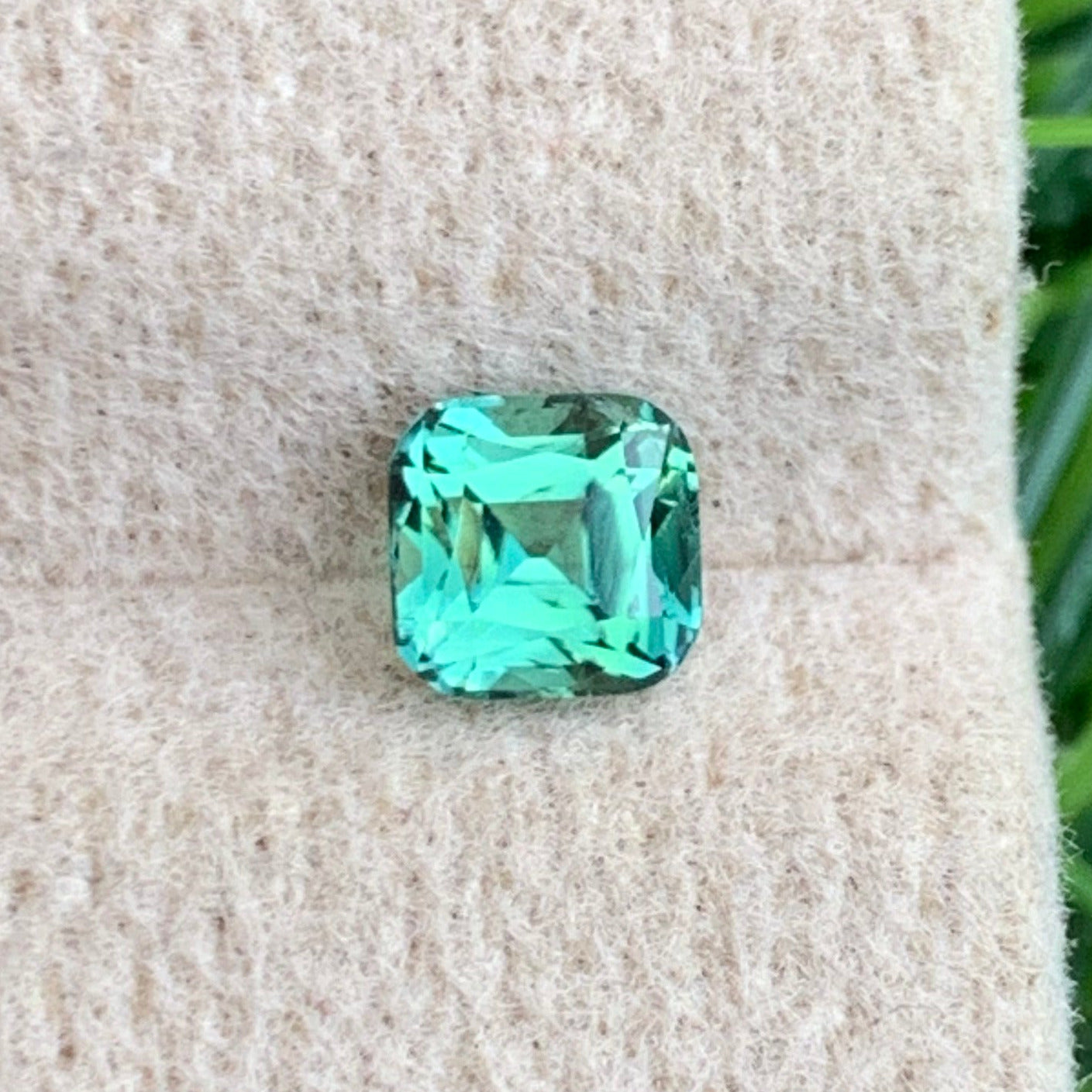 Apple Green Tourmaline Ring
Apple Green Tourmaline Pendant