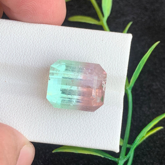 Bicolor Tourmaline stone
Bicolor Tourmaline jewelry