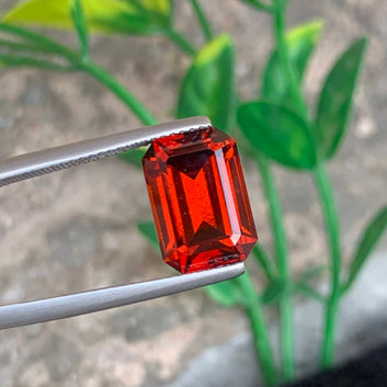 Hessonite Garnet ring
Hessonite Garnet pendant